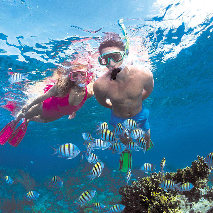 Snorkeling Tour with swimming pigs