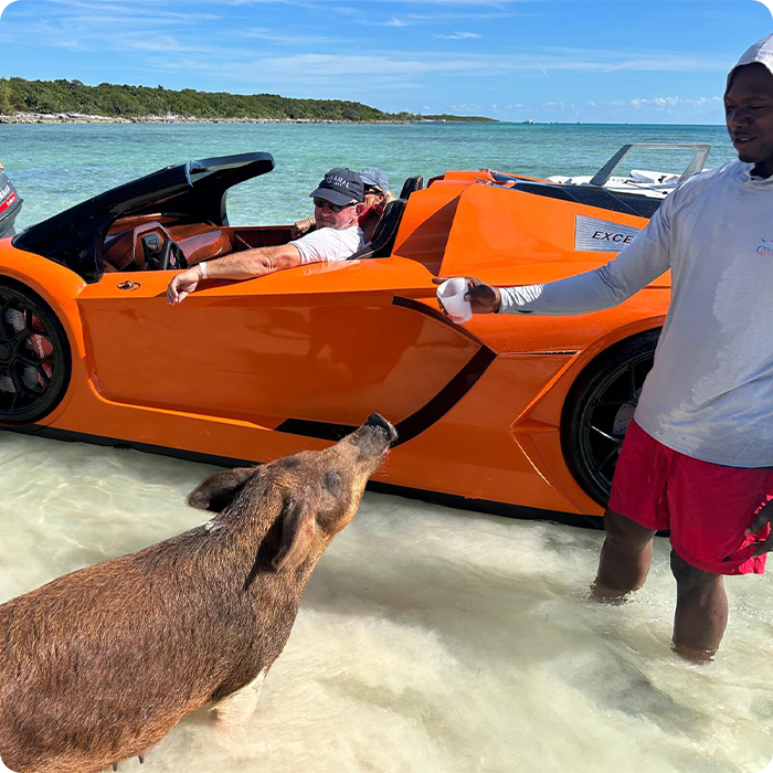 Jetcar Rental with Swimming Pigs